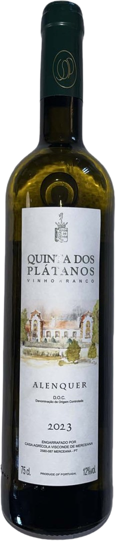 Qta_Platanos_Branco_2023-removebg-preview
